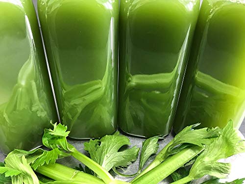 Top 8 Make Celery Juice Without A Juicer Tge Vegan Woman