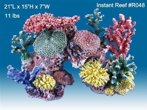 live freshwater coral