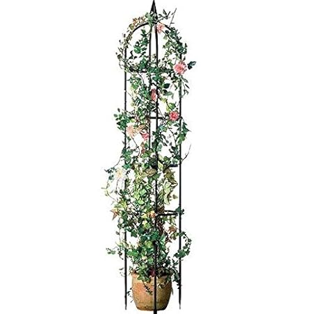 ABC Home Garden Pflanzenbogen | Rosenbogen | Rankhilfe Metall schwarz 240 cm H