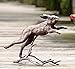 SPI Home Cast Aluminum Running Rabbit Garden Sculpture 15 Inches Long