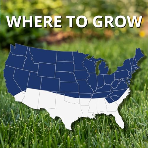 Jonathan Green (10323) Black Beauty Ultra Grass Seed Cool Season Lawn