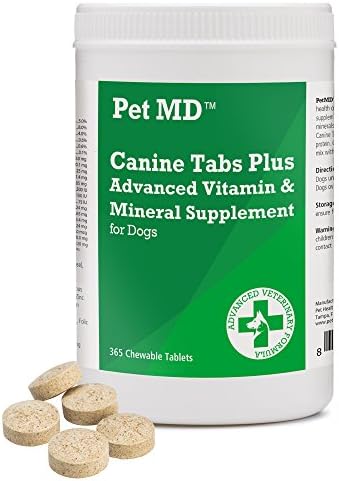 pictures of shih tzu puppies