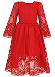 Bonny Billy Girl's Classy Embroidery Lace Maxi Flower Girl Dress