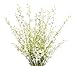 Artificial Orchids Flowers, 12 Pcs Silk Fake Orchids Flowers in Bulk Orquideas Flowers Artificial for Indoor Outdoor Wedding Home Office Decoration Festive Furnishing White