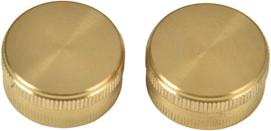 REGNHLIF 2 Pack 3/4" Brass Garden Hose End Caps with Washers : Garden & Outdoor