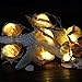 IMPRESS LIFE Natural LED String Lights, Ocean Real Conch Beach Themed Christmas Flexible Battery-powered 10 ft 10 LEDs for Indoor, Outdoor, Birthday, Wedding, Summer Holiday, Parties & Home Decorating