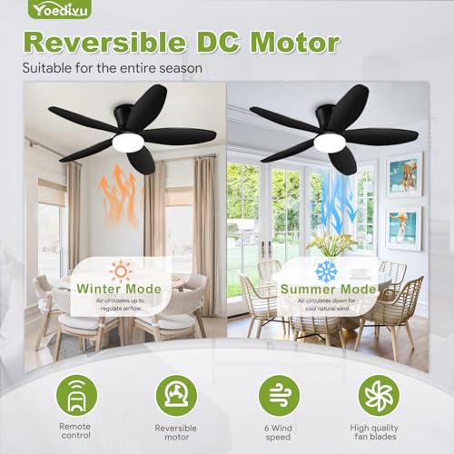 Yoedivu Black Ceiling Fan with Light, 42 Inch Low Profile Flush Mount Ceiling Fan 6-Speed Wind, Quiet Reversible DC Motor, 3 Color Dimmable Lighting, Small Ceiling Fan for Living Room/Kitchen/Bedroom