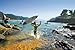 Kelly Slater: For the Love