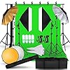 Professional Photo Studio Background Support Kit Softbox Reflective Umbrella 85W 5500k Continuous Lighting for Still…