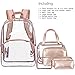 NiceEbag 6 in 1 Clear Backpack with Cosmetic Bag & Case, Clear Transparent PVC School Backpack Outdoor Bookbag Portable Travel Toiletry Bag Makeup Quart Luggage Organizer (Rose Gold)