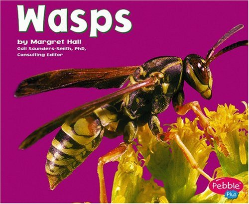 Wasps (Bugs, Bugs, Bugs!): Hall, Margaret: 9780736861274: Amazon.com: Books