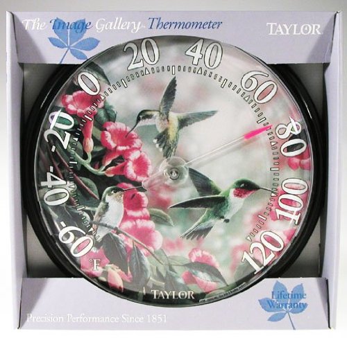 Taylor The Image Gallery Thermometer