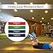 TOMSHOO Resistance Bands Loop Exercise Bands - Set of 4 - for Fitness Gym Strength Training Physical Therapy