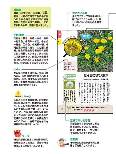 散歩しながら子どもに教えてあげられる草花図鑑 Amazon Com Books