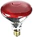 Westinghouse Lighting 0441000, 100 Watt, 120 Volt Incandescent BR38 Light Bulb-2000 Hours, 1 Pack, Red primary