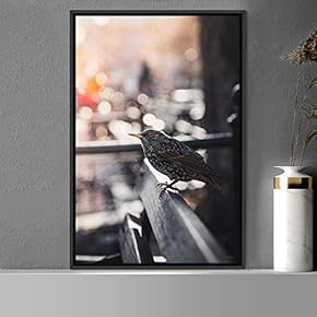 signwin Framed Canvas Wall Art Bird on Railing...