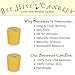 Bee Hive Candles 100% Pure Beeswax Votive Candles - 15 Hour (8 Pack, Natural)