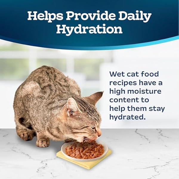 BLUE BUFFALO TASTEFULS WET CAT FOOD PATÉ VARIETY PACK CHICKEN TURKEY & CHICKEN OCEAN FISH & TUNA, 5.5 OZ. CANS (12 COUNT)