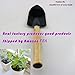 Garden Plant Tools Sets Kids Toy Mini 3pcs Spade Shovels Rakes Bonsai Hand Transplanting Miniature Planting Succulent Fairy indoor outdoor Care Gardening Gifts