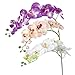 1 Piece Simulation Butterfly Orchid Artificial Flower Plant Home Decoration White