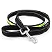 HIGO LED Dog Leash, USB Rechargeable Reflective Glowing Pet Leash, Reflective Light Up Dog Lead with Neoprene Padding Makes Your Pets Visible& Safe for Night Dog Walking (Green2, Led(47 inch))