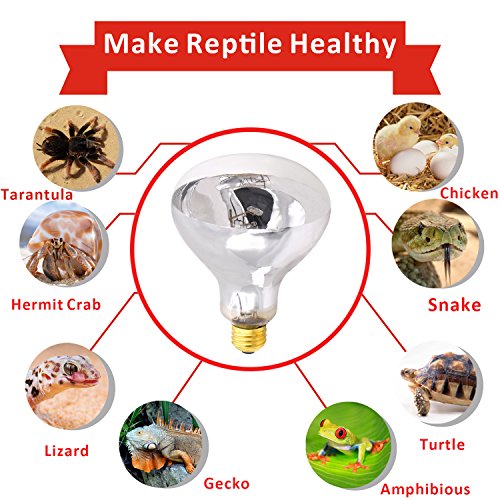 UVA UVB Mercury Vapor Bulb - 100W Sun Simulating Bulb High Intensity UVA UVB Light Heat Bulb For Reptile and Amphibian Use (Mercury Vapor Bulb) - Thumbnail 4