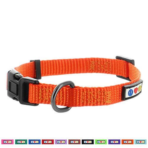 Pawtitas Dog Collar for Extra Small Dogs Training Puppy Collar with Solid - XS - Orange - Thumbnail 5