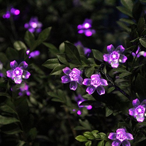 Innoo Tech Solar Outdoor String Lights 21ft 50 LED Purple Blossom Christmas Lights for Bedroom,Garden,Walkway