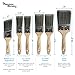 Professional Paint Brush Set 6 Piece Precision Defined Heavy-Duty, Paint Brushes for Walls with SRT PET Bristles and Natural Birch Handles, Paintbrushes with Comfortable Grip
