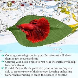 HAODEE Piante Acquario Piante Acquario Artificiali Decorazioni e Accessori per acquari Piante Artificiali per acquari…