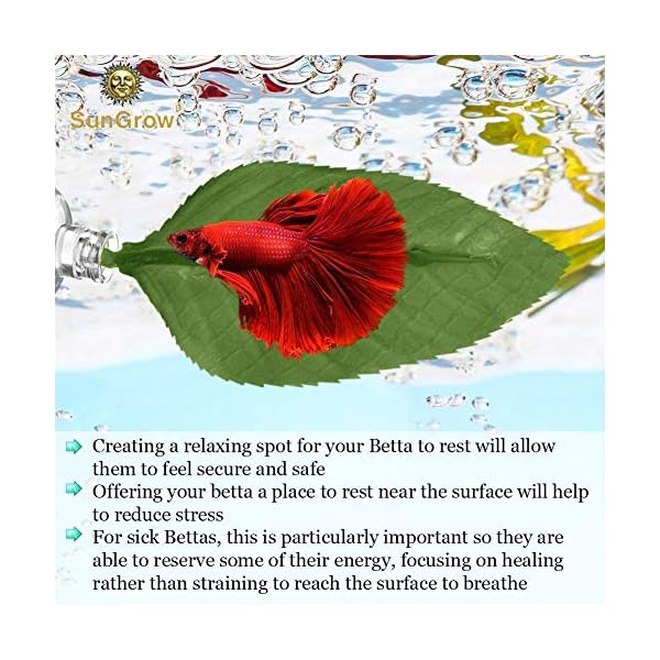 HAODEE Piante Acquario Piante Acquario Artificiali Decorazioni e Accessori per acquari Piante Artificiali per acquari…