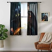 ZhiHdecor Bedroom Curtains 2 Panel Sets Hiccup How to Train Your Dragon The Hidden World Art P5 Noise Reducing Curtain