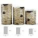 Candles Birch, Flameless Candles Set of 4