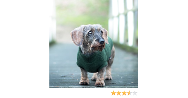 dachshund equafleece
