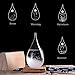 GR Creative Stylish Desktop Drops Storm Glass of 17th Century Europe Weather Monitors Weather Forecast Weather Station (large)