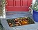 Toland Home Garden 800103 Stocking Stuffer Christmas Door Mat 18x30 Inch Winter Outdoor Doormat for Entryway Indoor Entrance