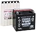 YUASA YTX14-BS Maintenance Free Battery