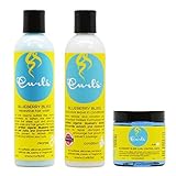 Curls Blueberry Bliss Reparative Hair Wash & Leave-In Conditioner 8oz & Curl Control Paste 4oz 