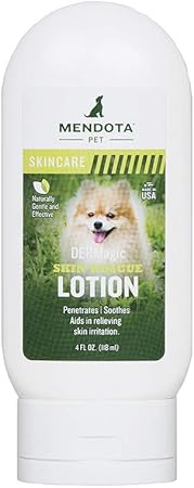 saint bernard dogs for adoption