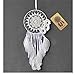 Dremisland Dream Catcher Vintage Handmade Traditional Indian Style Dream Catcher with Brown Feather Wall Hanging Home Decoration Ornament