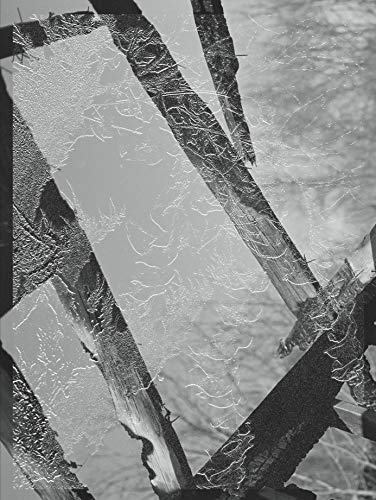 Sylvain Couzinet-Jacques: Eden by