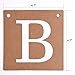 EBOOT Baby Shower Decorations Boy or Girl Banner Gender Reveal Bunting Flag Baby Gender Show Party Favors Pregnancy Announcement