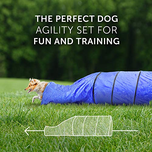 Better Sporting Dogs Deluxe Agility Equipment Set | 3 Jumps | 2 Tunnels | Weave Poles | Pause Box