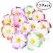 FRCOLOR 12 Pieces 3.5 Inch Hawaiian Plumeria Flower Hair Clips Foam Women Ladies Hair Accessories for Beach Party Wedding Event Decoration