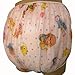 Baby Pants Pink Carousel Print Adult Pullon Plastic Pants - Extra Large