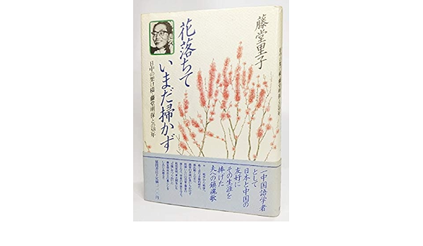 花落ちて いまだ掃かず 日中の架け橋藤堂明保との38年 Amazon Com Books