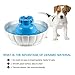 YOUTHINK Cat Water Fountain, 2L Large Capacity Healthy and Hygienic Automatic Ultra Quiet Pet Water Fountain, Cat Water Dispenser with 1 Filter, Pet Drinking Fountain for Cat and Dog (Blue)
