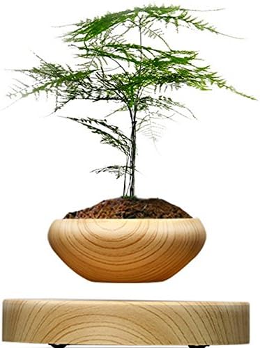 WhatsHottest Magnetic Suspended Grain Round LED Levitating Indoor Air Floating Plant Pot for Home Office Decoration