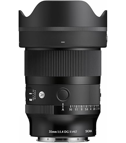 Amazon.com : Sigma 35mm F1.4 DG DN for L Mount : Electronics