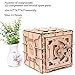 YOFIT Mechanical Models,3D Wooden Puzzle,Model Safe Kit,Money Banks